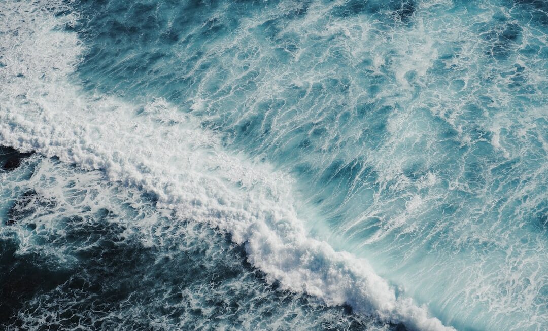 Photo Stream: Water Easy: Path